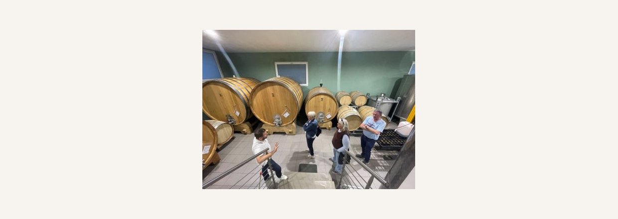 Tanker om vinomr�det Barolo -  F�rste ving�rd i Barolo er bes�gt