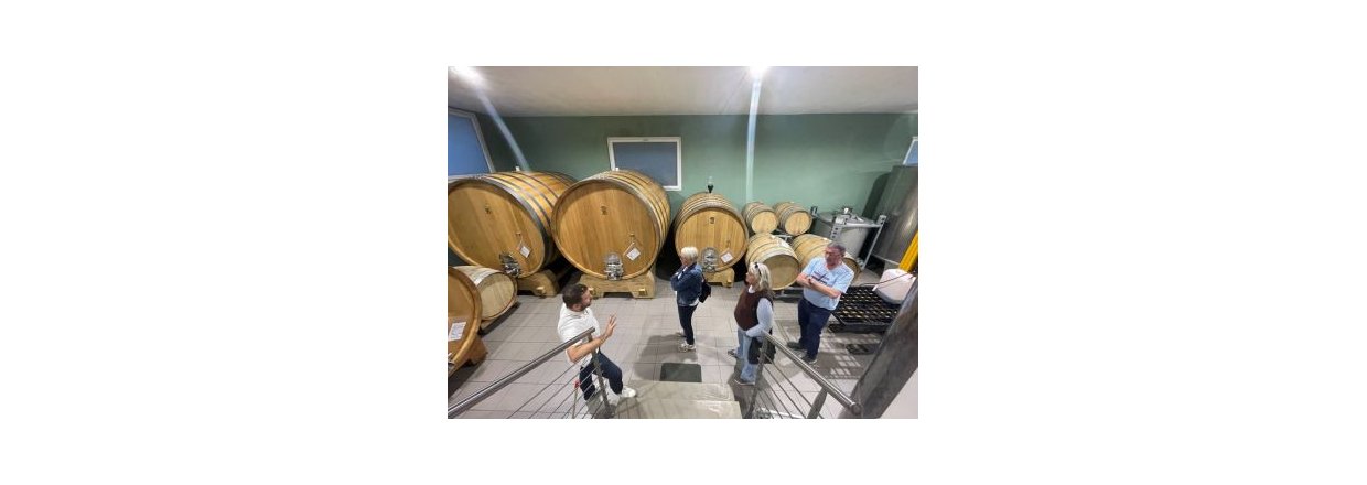 Tanker om vinomr�det Barolo -  F�rste ving�rd i Barolo er bes�gt