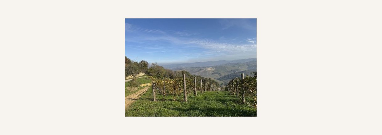 Vinomr�det Barolo er vidunderlig