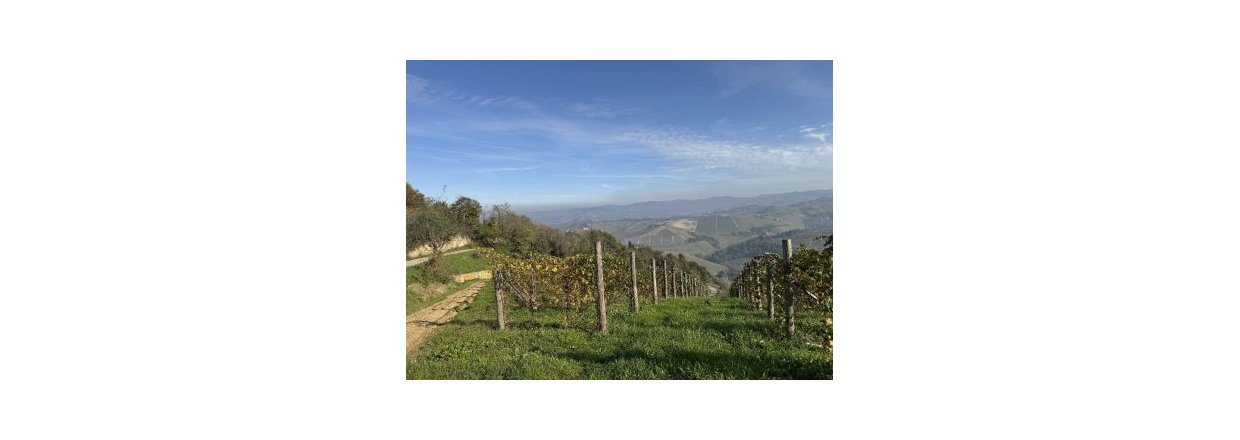 Vinomr�det Barolo er vidunderlig