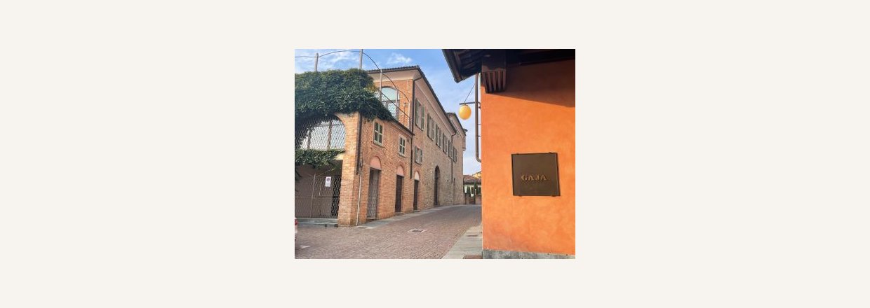 Frokost og udflugt til Barbaresco