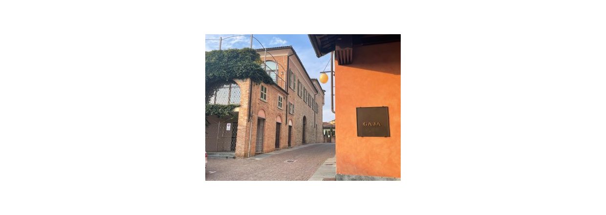 Frokost og udflugt til Barbaresco