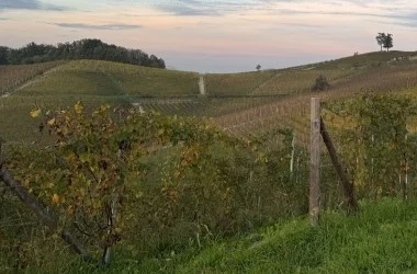 Barolo