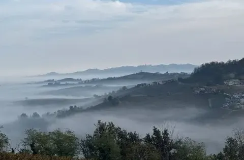 Vinlandskab i Piemonte i Norditalien