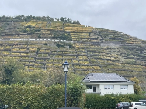 Landskab og vinmarker i Ahr i Tyskland