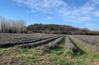 C&ocirc;tes du Rh&ocirc;ne