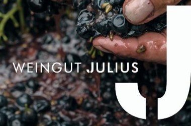 Weingut Julius