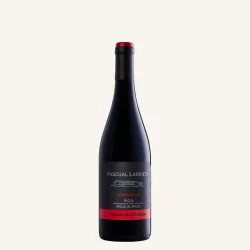 Flaske Tempranillo 2022 fra Bodegas Pascual Larrieta i Rioja Alavesa, Spanien.