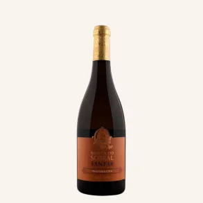 Malvasia Fina 2022 DOC