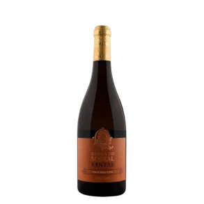 Malvasia Fina 2022 DOC