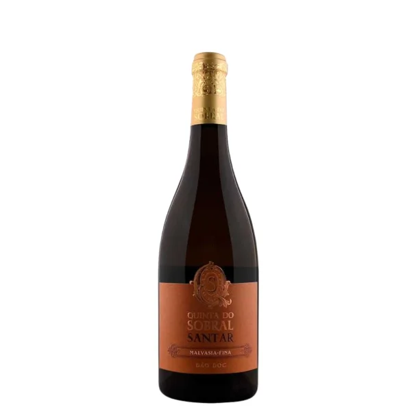 Malvasia Fina 2022 DOC
