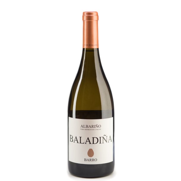 Baladia Barro 2014, Albario