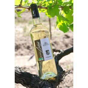 Blanc des Sables - Nef Saint-Louis